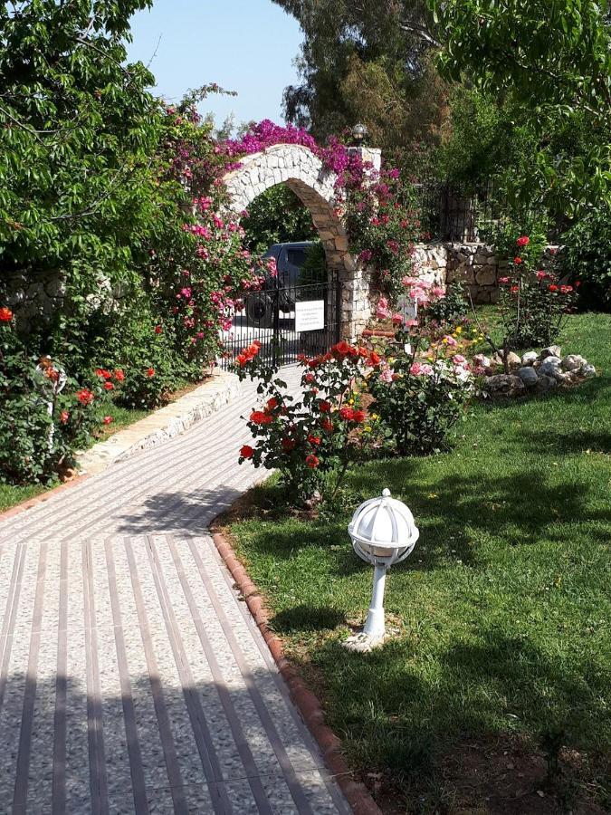 Olympos Hotel - Adults Only Ovacik  Room photo